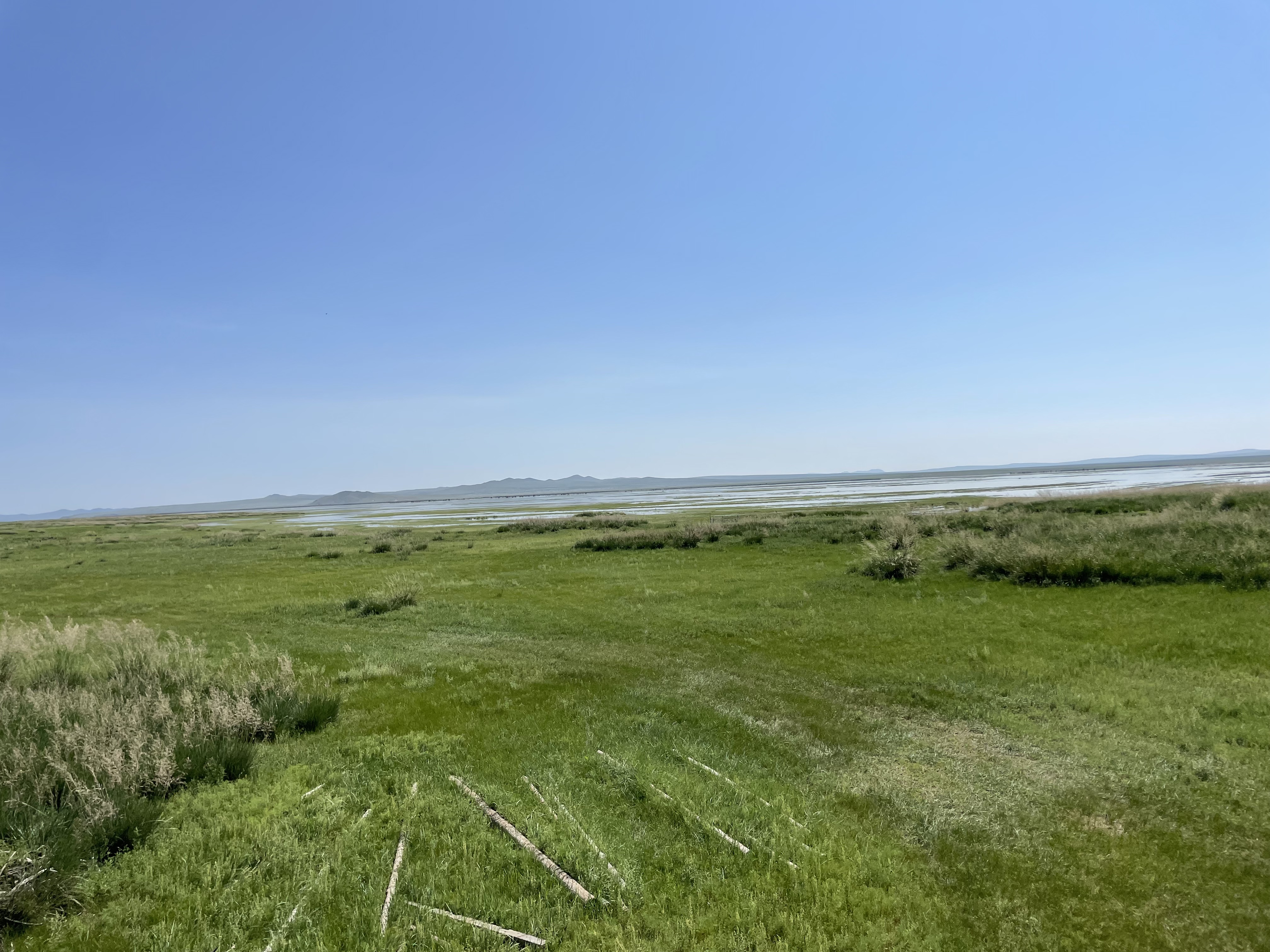 image of green field