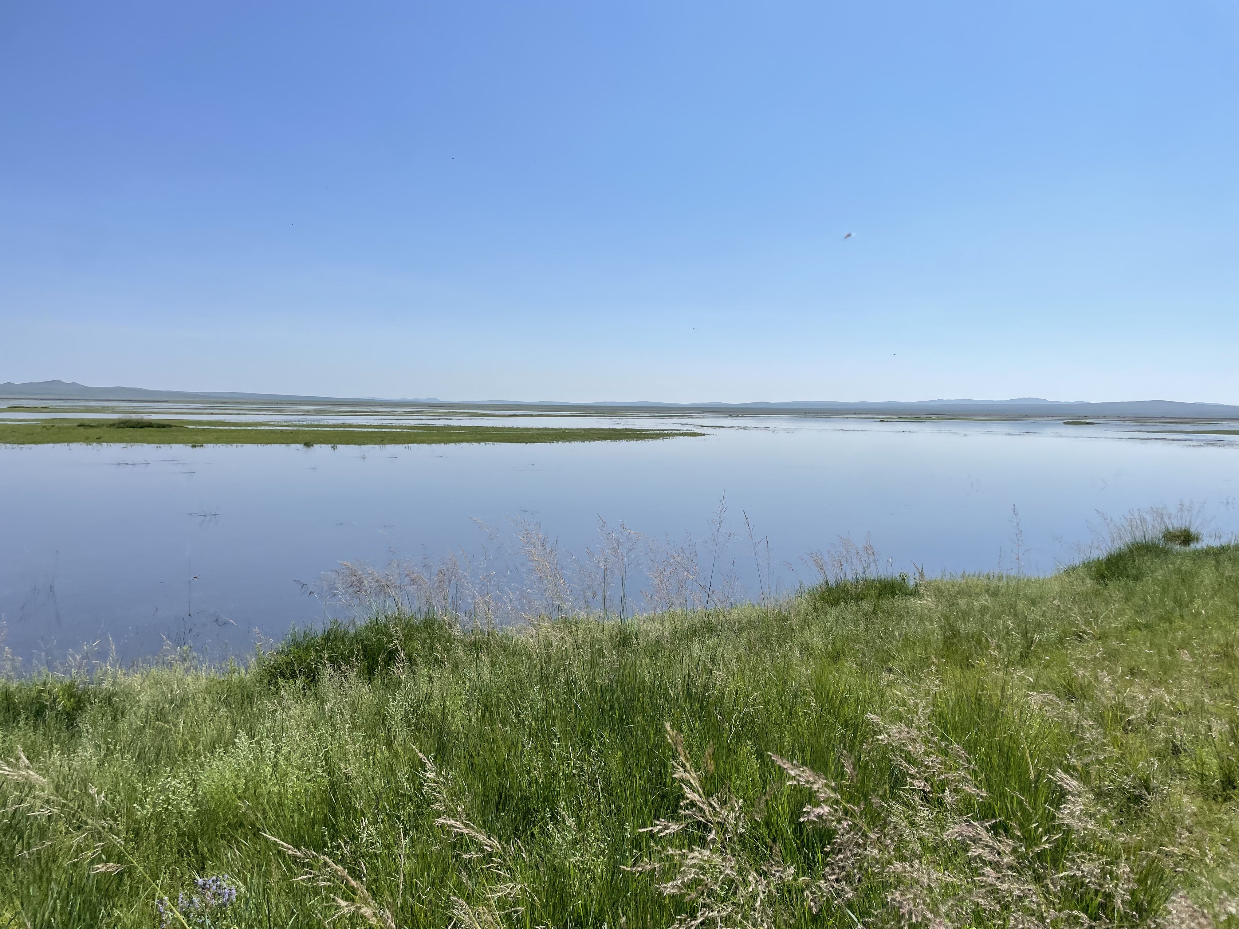 image of green field